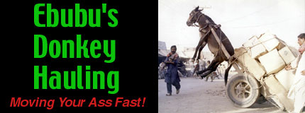 Ebubu's Donkey Hauling