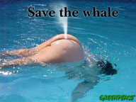 Save The Whale!