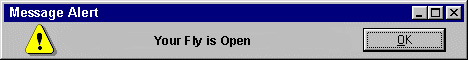 Message Alert: Your fly is open!