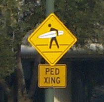 Surfing